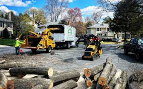 Best Tree Maintenance Programs  in Chickasaw, AL