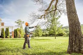 Best Hazardous Tree Removal  in Chickasaw, AL