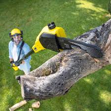 Best Grass Overseeding  in Chickasaw, AL