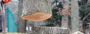 Best Tree Removal  in Chickasaw, AL