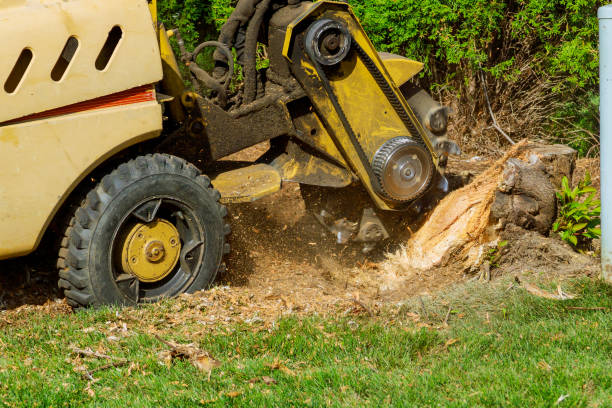 Lawn Grading and Leveling in Chickasaw, AL