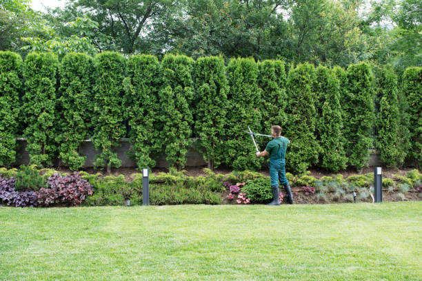 Best Pest Control for Lawns  in Chickasaw, AL