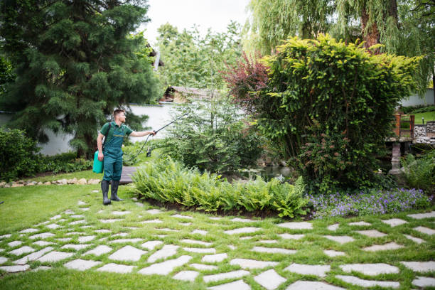Best Aeration Services  in Chickasaw, AL