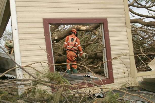 Professional Tree Services in Chickasaw, AL
