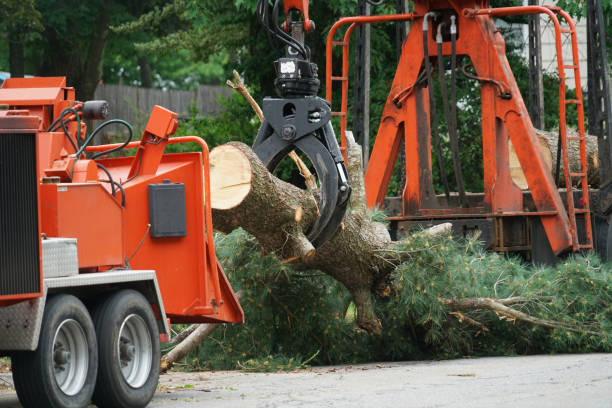 Best Utility Line Clearance  in Chickasaw, AL