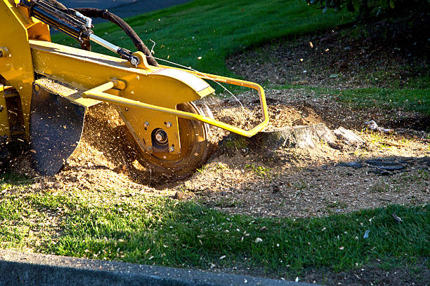  Chickasaw, AL Tree Services Pros