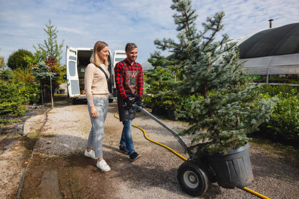 Best Lawn Maintenance Plans  in Chickasaw, AL