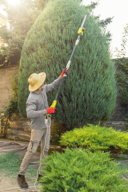 Lawn Watering Services in Chickasaw, AL